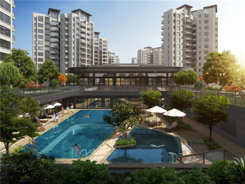 李克宝铁锅柴鸡