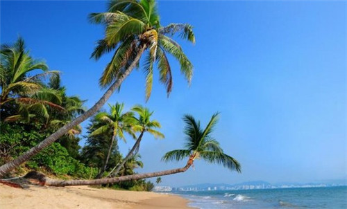 资源县的二哥冒菜加盟商多吗