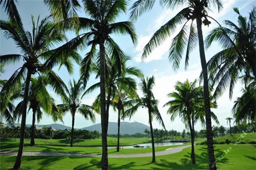 洮南手擀面加盟店哪家好