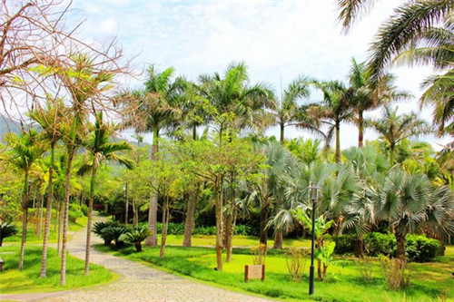 自助猪蹄加盟店怎么加盟，自助猪蹄加盟店怎么加盟的