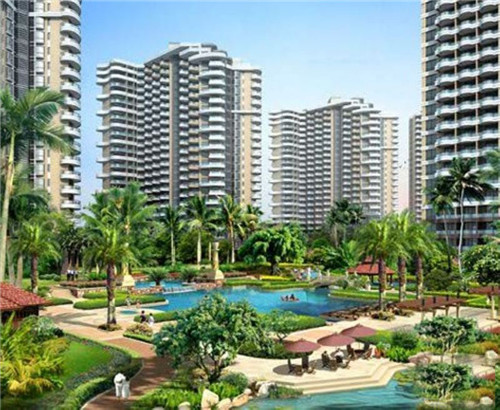 日本创业宠物店怎么样赚钱吗