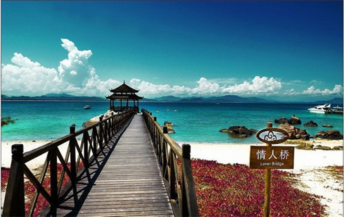 在平原县加盟萌鸡特工泡泡鸡有前途吗