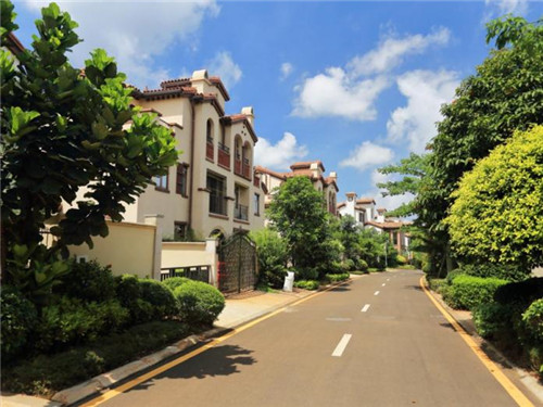 从青岛到江西自驾游最佳方案（青岛到江西多远）