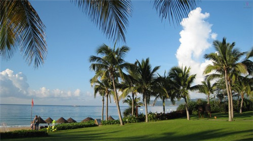 景观广场取名公司（休闲广场取名）