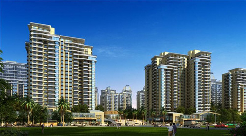 百合炒龙胆鱼可以吃吗（百合炒龙胆鱼可以吃吗视频）