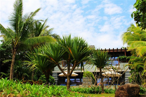 涂鸦红包小游戏怎么玩的（涂鸦红包小游戏怎么玩的啊）