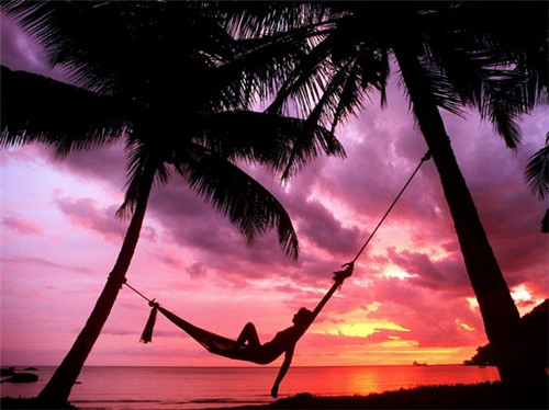 十大导航直播平台排名（国内直播导航）