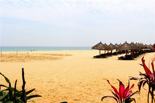 pubg有官方手游吗（pubg有app吗）