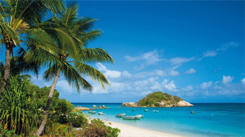 邢禄康艺考状元（邢禄康艺考状元是谁）