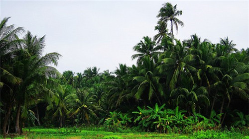 装修公司用灭火器吗安全吗（装修公司用灭火器吗安全吗知乎）